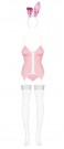 Bunny  Sexy Kostyme thumbnail