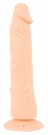 Dildo med Sugekopp thumbnail